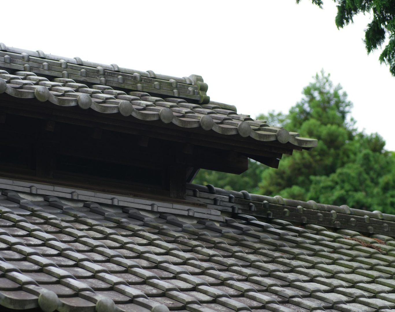 Professional roof inspection and repair in Lebanon, TN